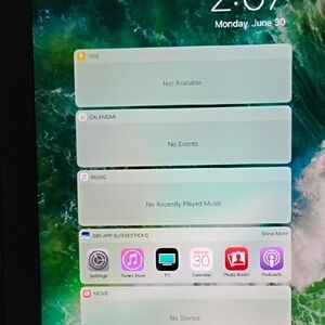 Apple iPad with Black and Green Display